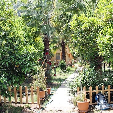 Oran Pansiyon Agac Evler Hotel Cirali Bagian luar foto
