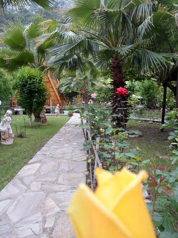 Oran Pansiyon Agac Evler Hotel Cirali Bagian luar foto
