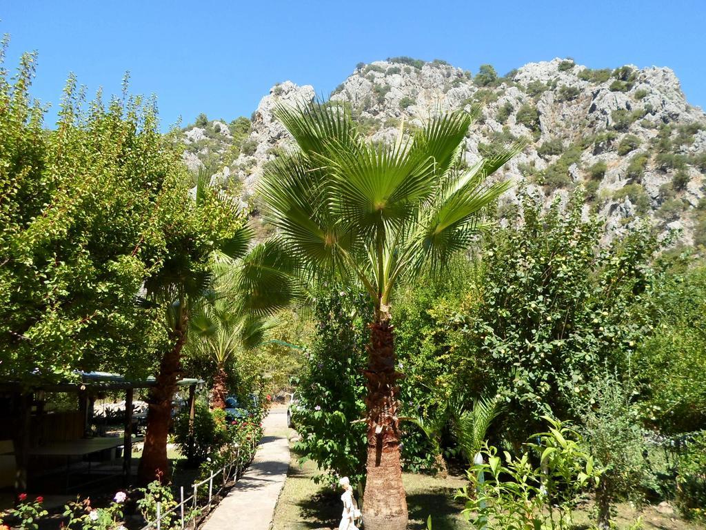 Oran Pansiyon Agac Evler Hotel Cirali Bagian luar foto